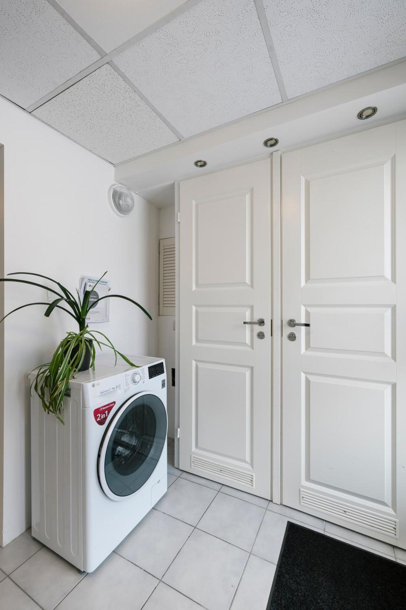 Apartamento For One - Grey Talin